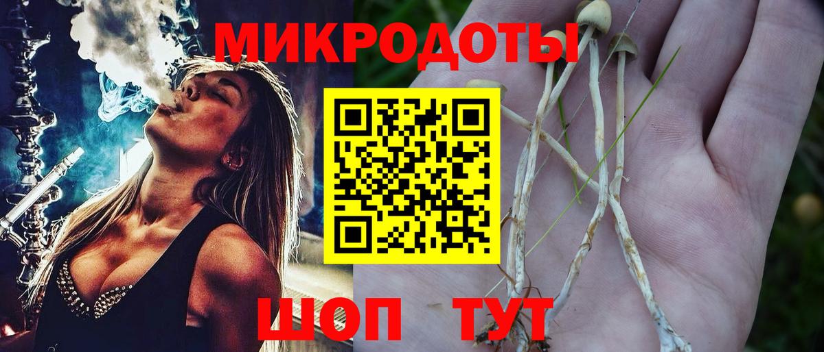 Псилоцибиновые грибы GOLDEN TEACHER  купить наркотики сайты  Зеленокумск  Вход с VPN 